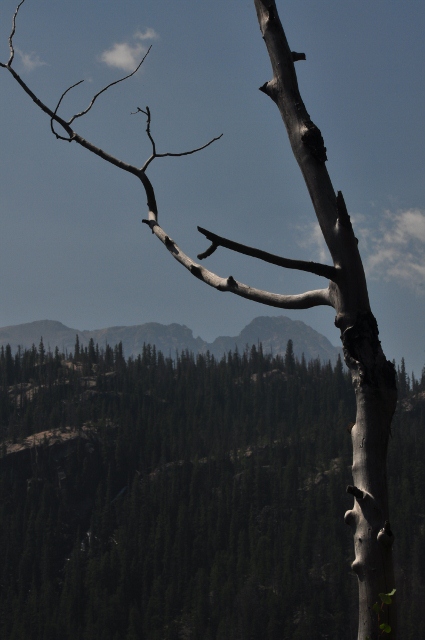 Lower Cataract Lake Trail